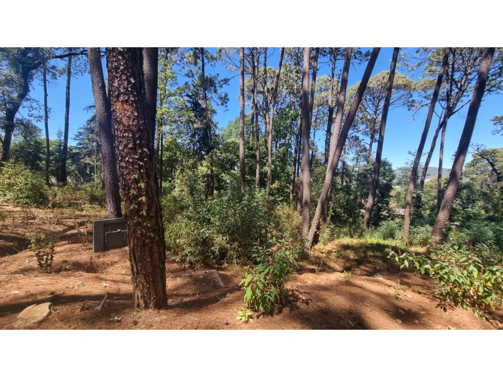 EXCELENTE TERRENO EN VENTA, AVANDARO - 1