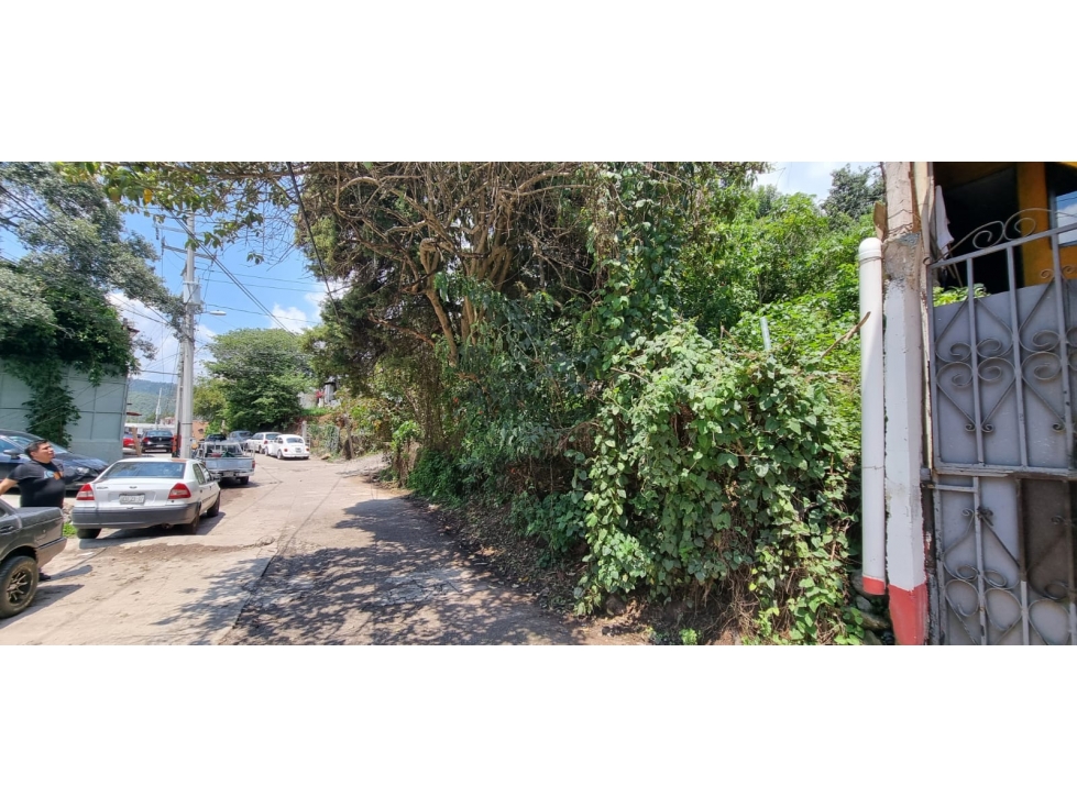 TERRENO EN VENTA, CENTRO DE VALLE. - 6