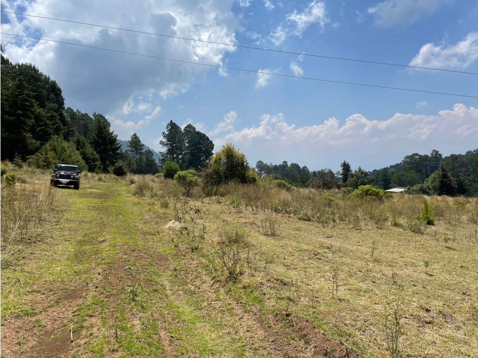 MAGNIFICO TERRENO EN VENTA EN MESA RICA — foto 5