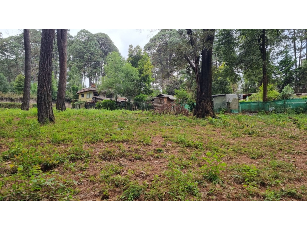 TERRENO CON ENTORNO DE BOSQUE, EN VENTA — foto 3