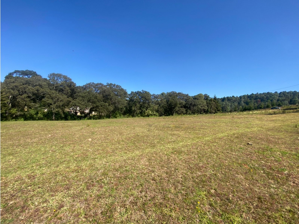 TERRENO EN VENTA CON ENTORNO DE BOSQUE A 25 MINUTOS DE VALLE DE BRAVO — foto 3