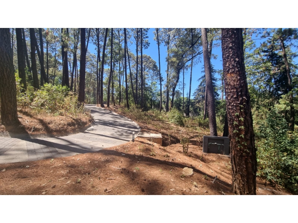 EXCELENTE TERRENO EN VENTA, AVANDARO - 2