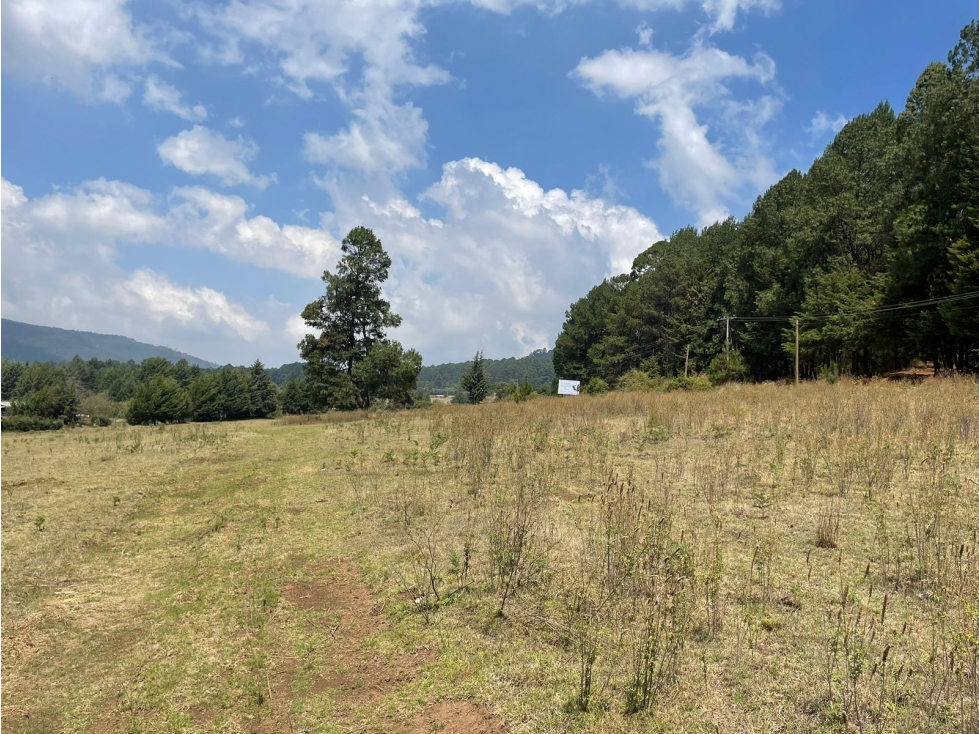 MAGNIFICO TERRENO EN VENTA EN MESA RICA