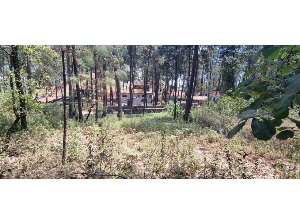 TERRENO CON ENTORNO DE BOSQUE EN VENTA. — foto 4
