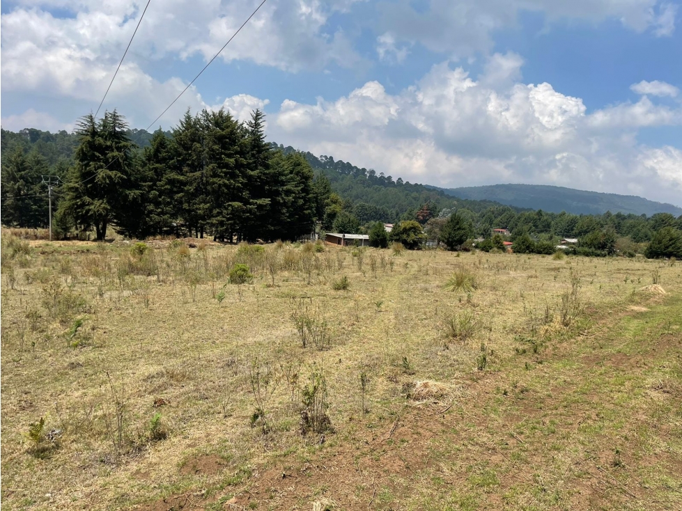 MAGNIFICO TERRENO EN VENTA EN MESA RICA — foto 6