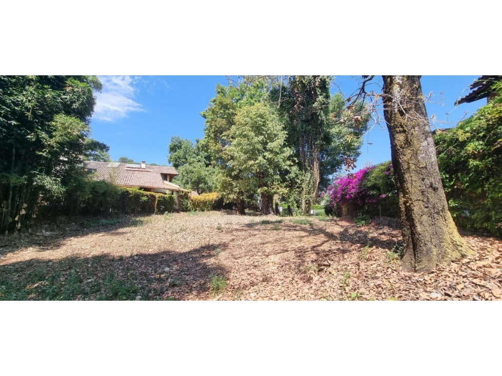 TERRENO EN VENTA CON RIACHUELO EN AVANDARO — foto 4