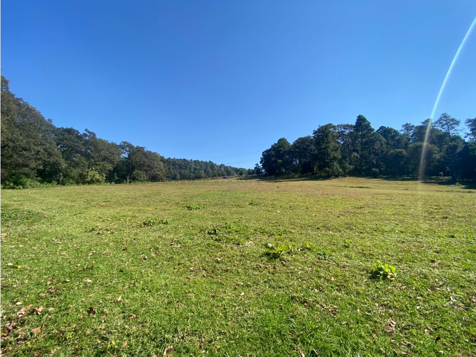 TERRENO EN VENTA CON ENTORNO DE BOSQUE A 25 MINUTOS DE VALLE DE BRAVO — foto 2