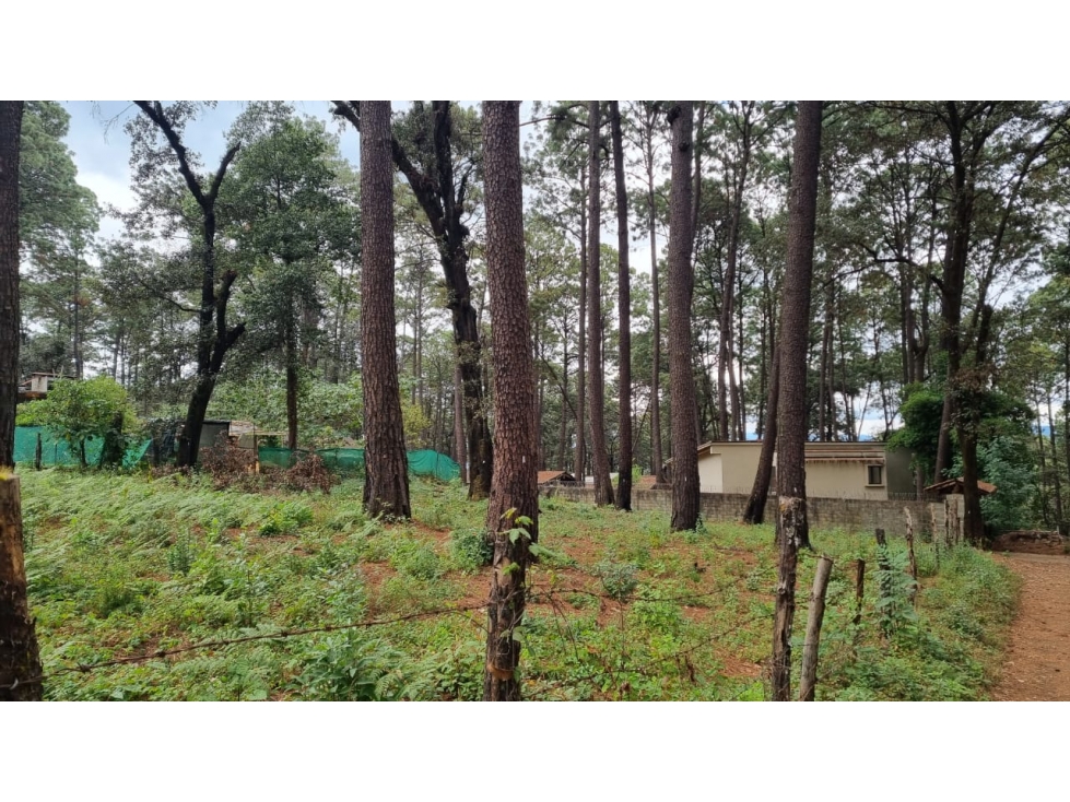 TERRENO CON ENTORNO DE BOSQUE, EN VENTA — foto 5