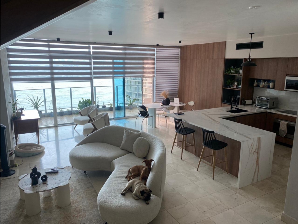 ALQUILER APARTAMENTO PUNTA PACIFICA