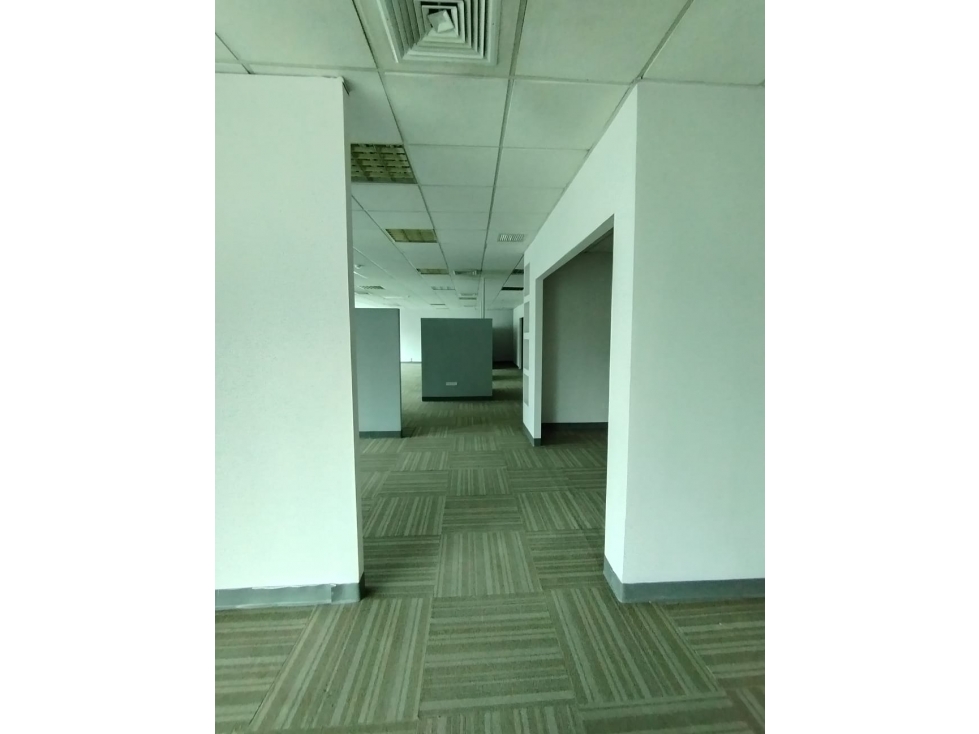 ALQUILER OFICINA MARBELLA — foto 3