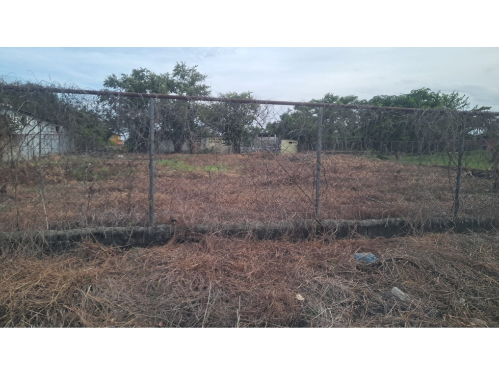 VENTA TERRENO GORGONA