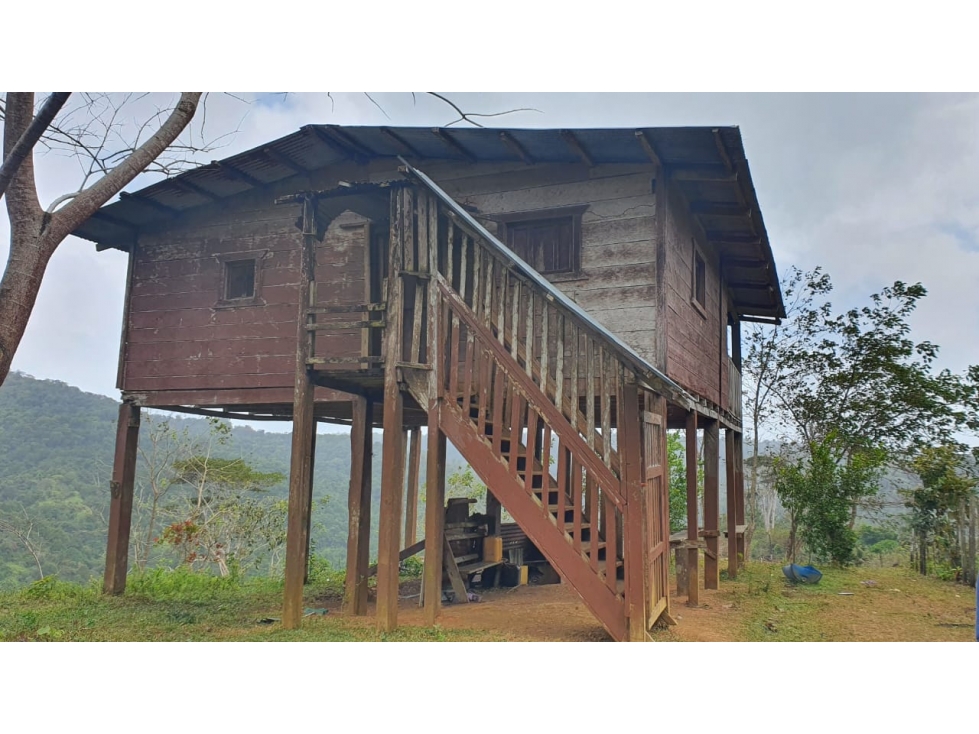 VENTA TERRENO CHEPO - 2