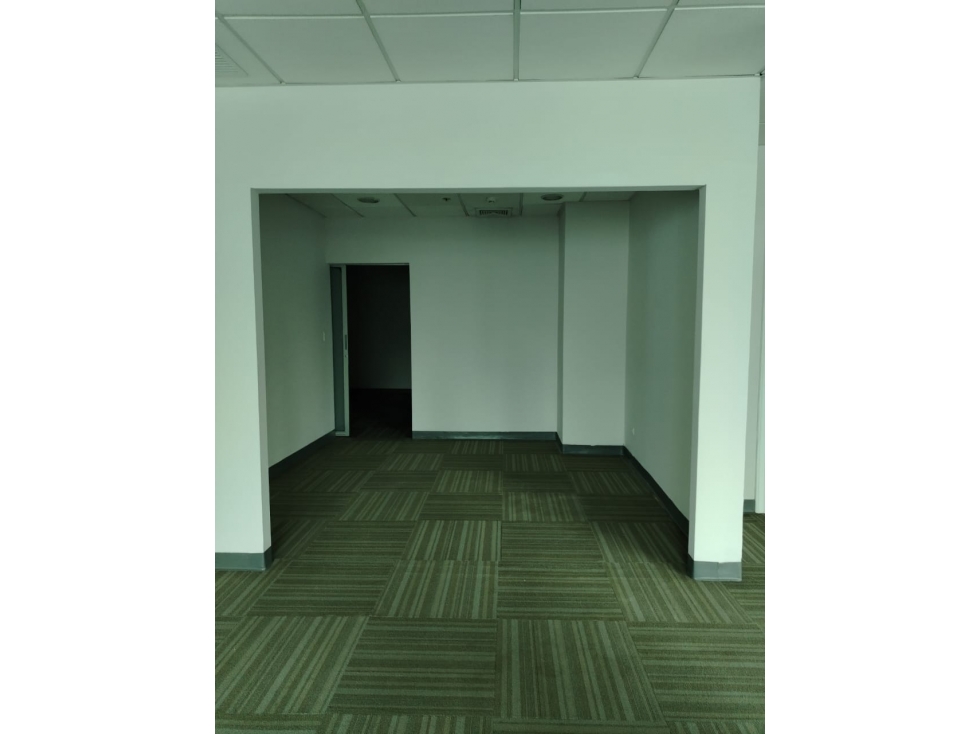 ALQUILER OFICINA MARBELLA — foto 5