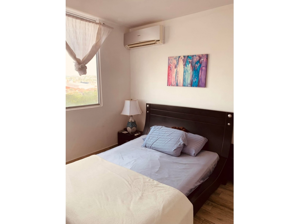 ALQUILER APARTAMENTO VIA ESPAÑA - 6