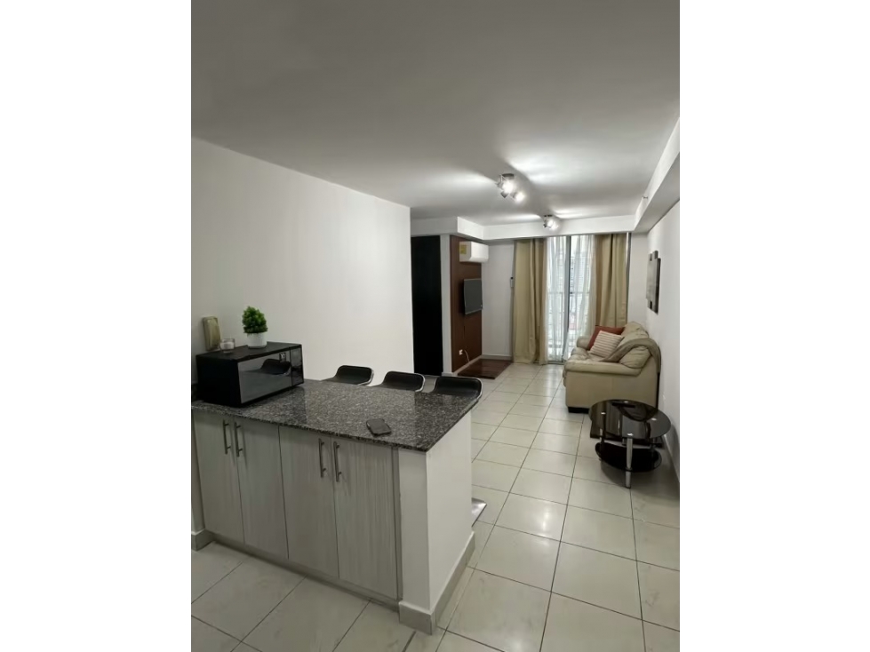 ALQUILER APARTAMENTO AMOBLADO PARQUE LEFEVRE