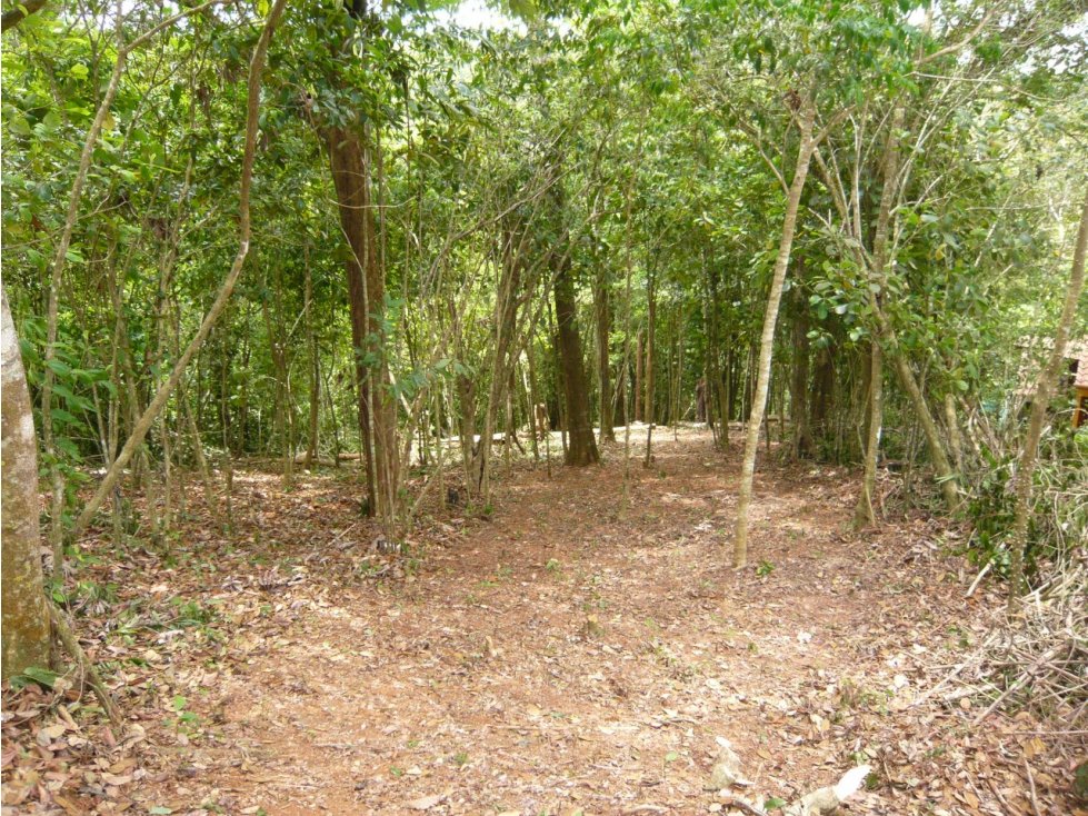 VENTA TERRENO CERRO AZUL