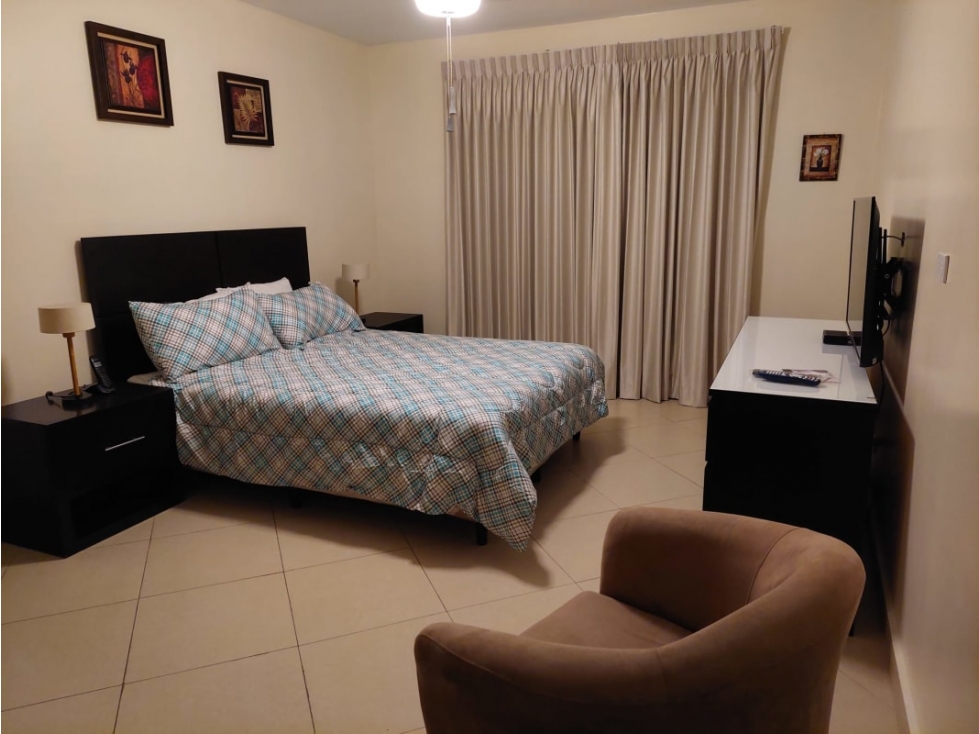 ALQUILER APARTAMENTO AMOBLADO ALBROOK — foto 4