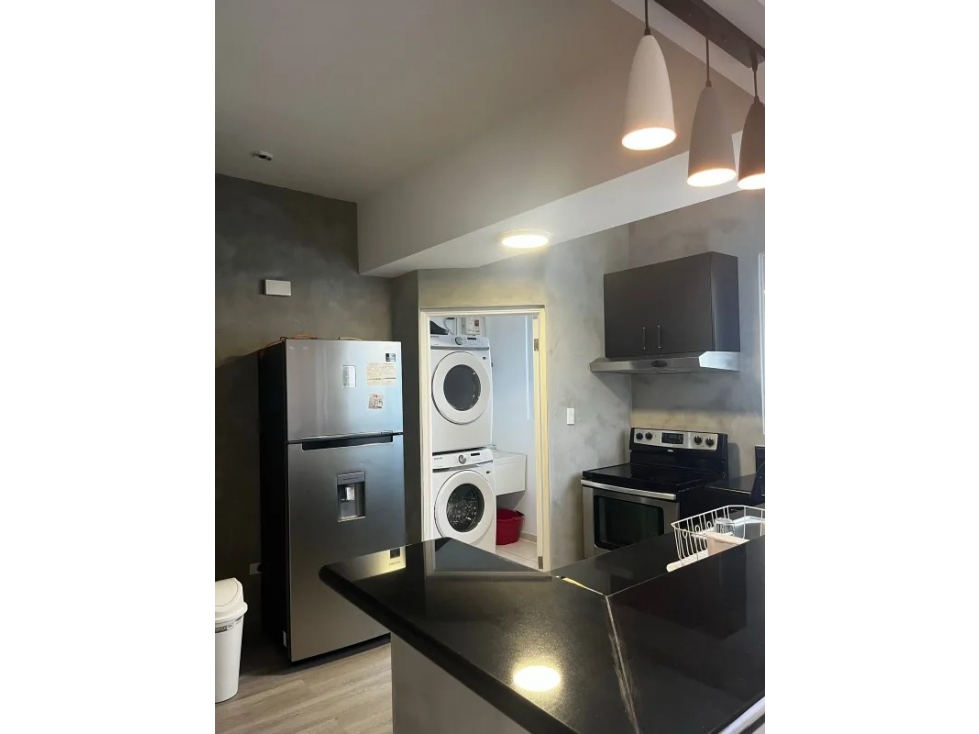 ALQUILER APARTAMENTO AMOBLADO AVENIDA BALBOA — foto 5
