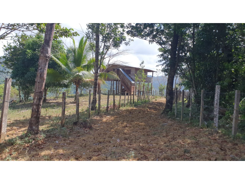 VENTA TERRENO CHEPO - 3