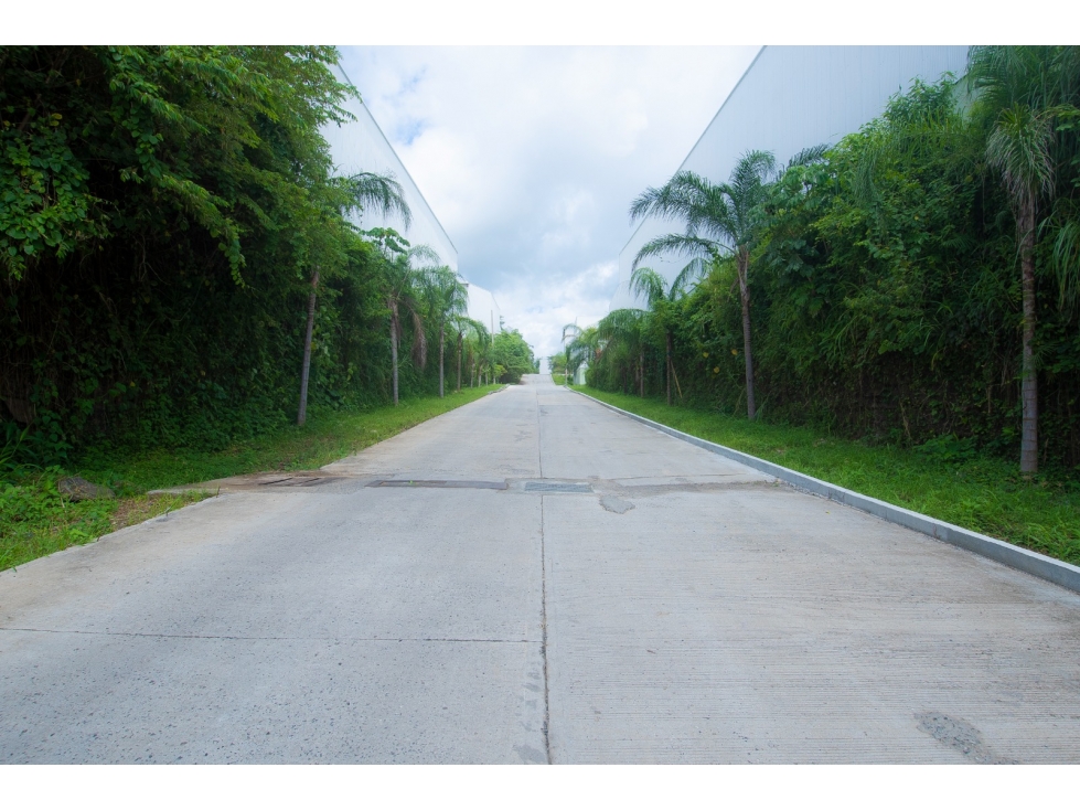 ALQUILER GALERAS CIUDAD DE PANAMÁ — foto 4
