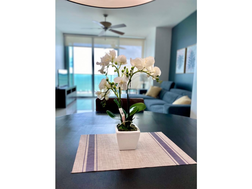 ALQUILER APARTAMENTO AMOBLADO BELLA VISTA — foto 3