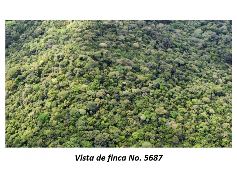 VENTA TERRENO LA LLANA - COLÓN - 6