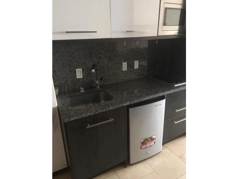 ALQUILER APARTAMENTO AMOBLADO PUNTA PACIFICA — foto 4