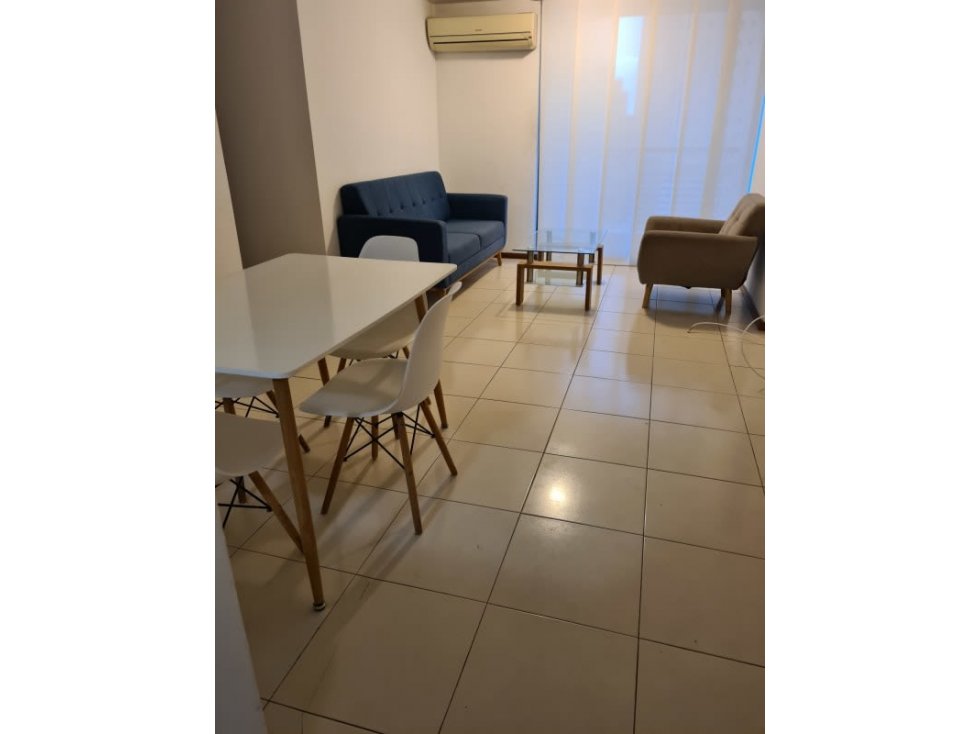 ALQUILER APARTAMENTO EN PUNTA PACIFICA — foto 2