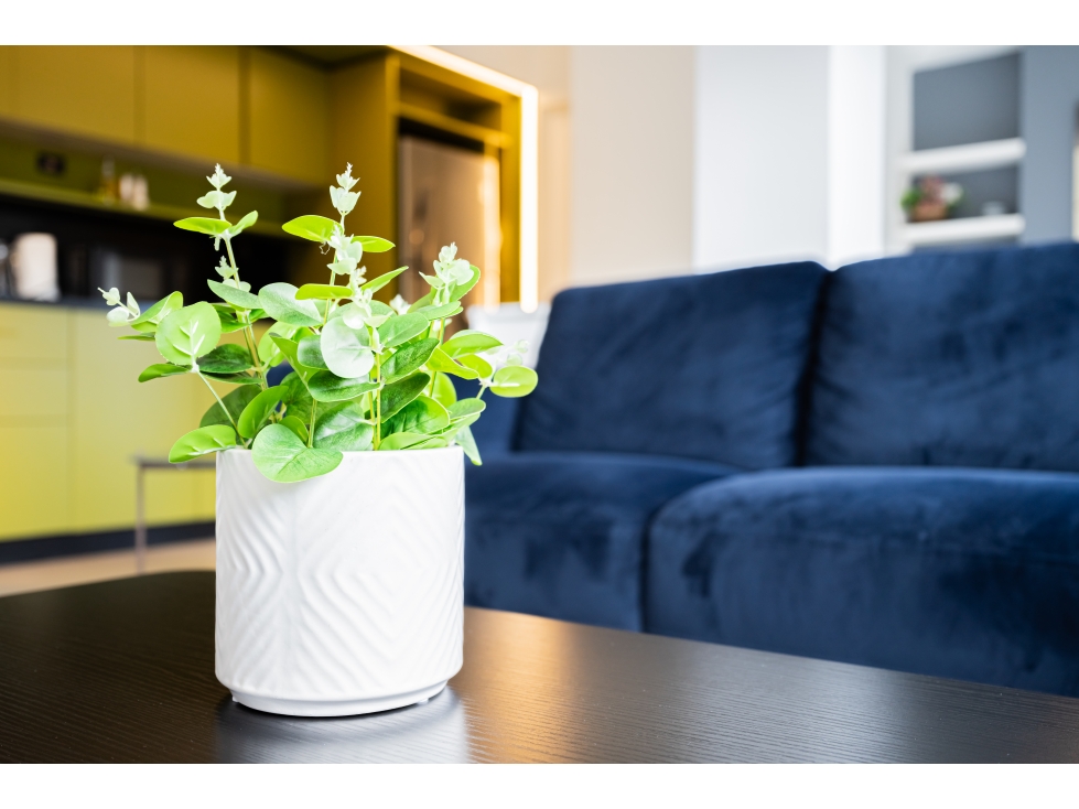 VENTA APARTAMENTO CASCO ANTIGUO — foto 4