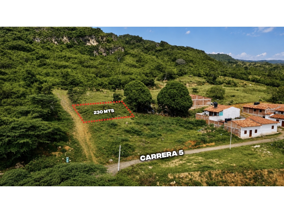 ¡Â¡LOTE CAMPESTRE EN EL CORAZON DE GUANE!!