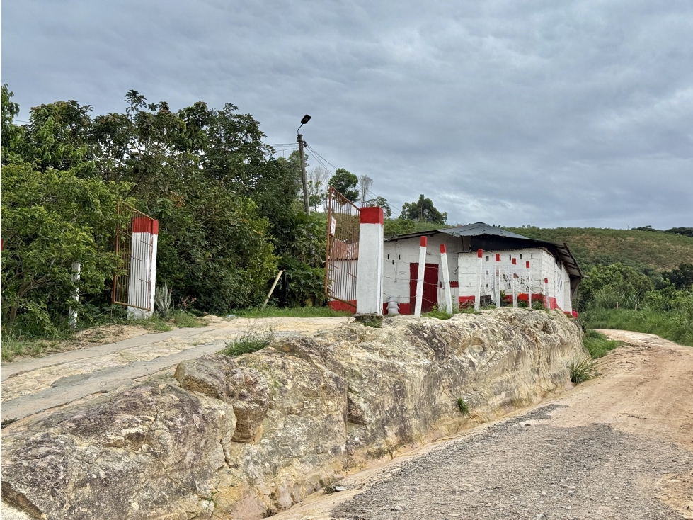 Finca sembrada en piña y cacao y con galpones para 20.000 gallinas - 4