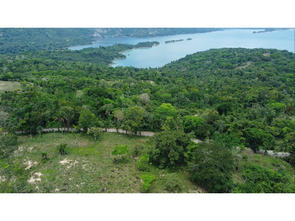 VENDO EXCELENTE LOTE PARA INVERSION EN LA REPRESA HIDROSOGAMOSO - 6