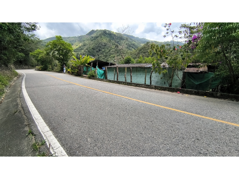 ¡Una finca para producir, invertir y disfrutar de la naturaleza! - 2