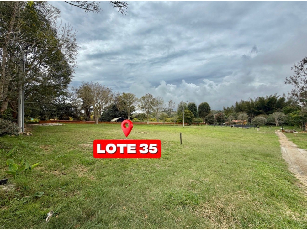 Excelente inversión, para vivir o negocio. LOTE 35 - 5