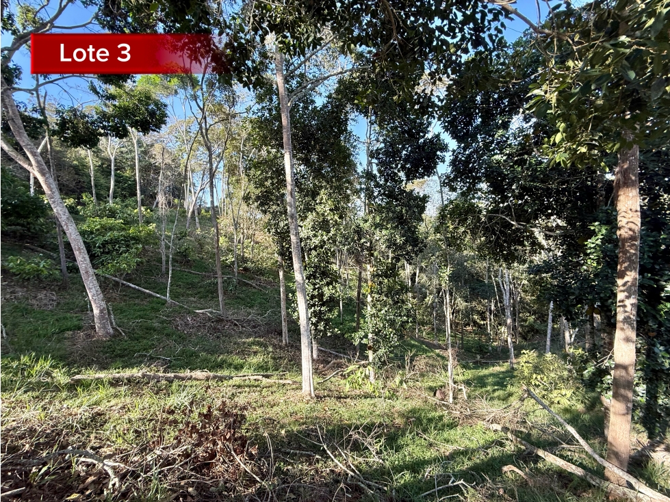 IDEAL PARA INVERSION LOTE EN LEBRIJA - 2