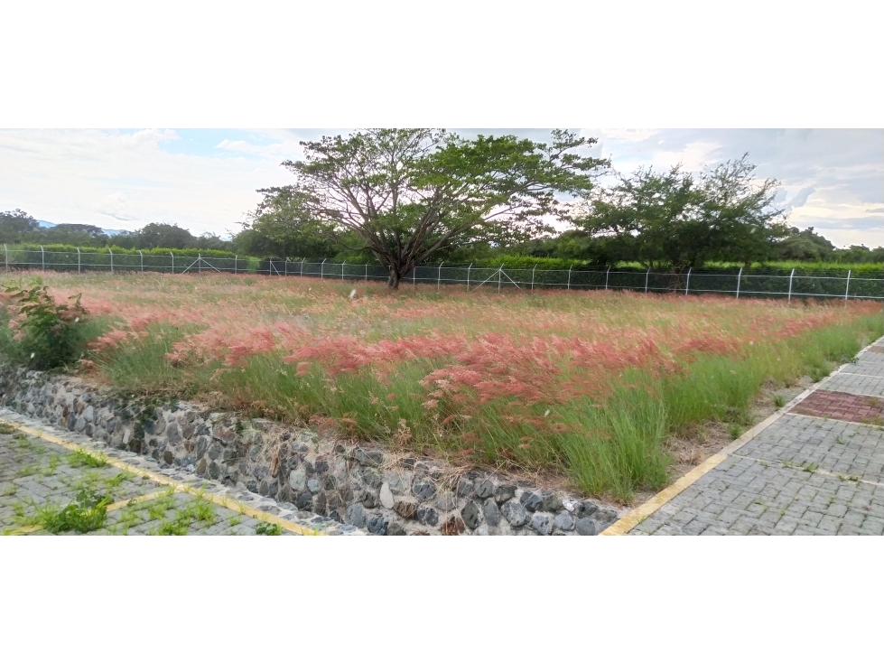 Lote en Venta, Ginebra - 1