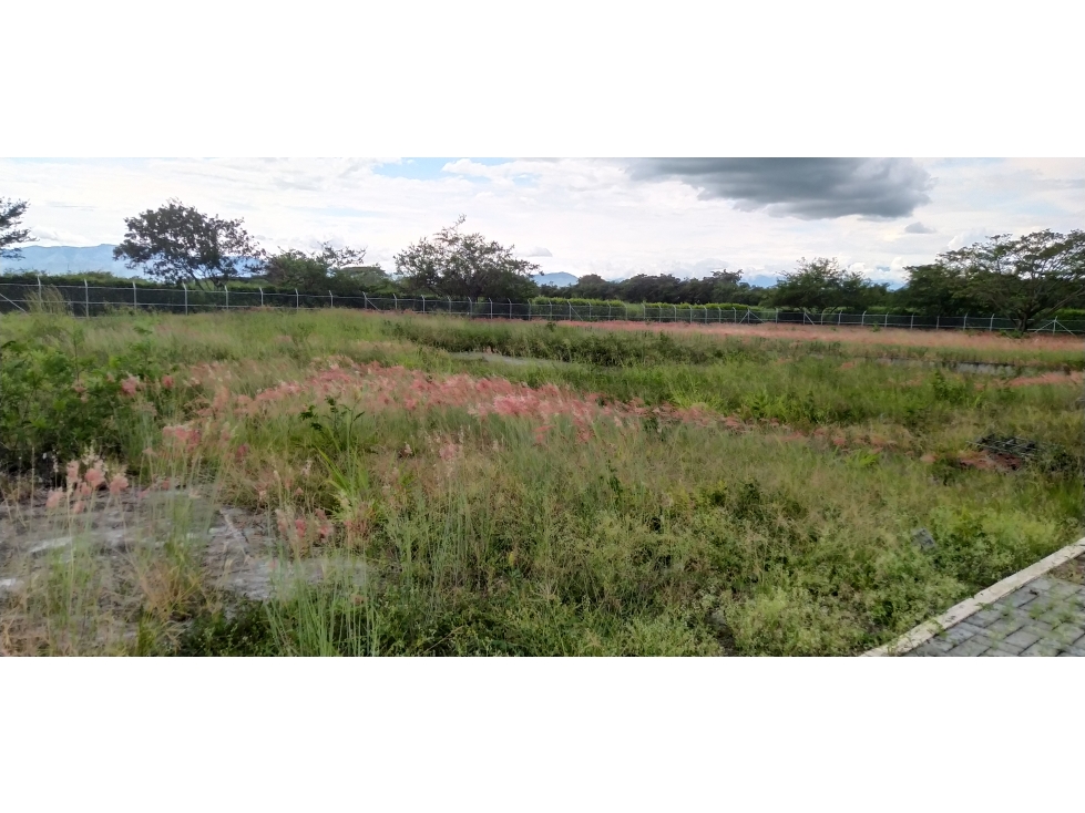 Lote en Venta, Ginebra - 3