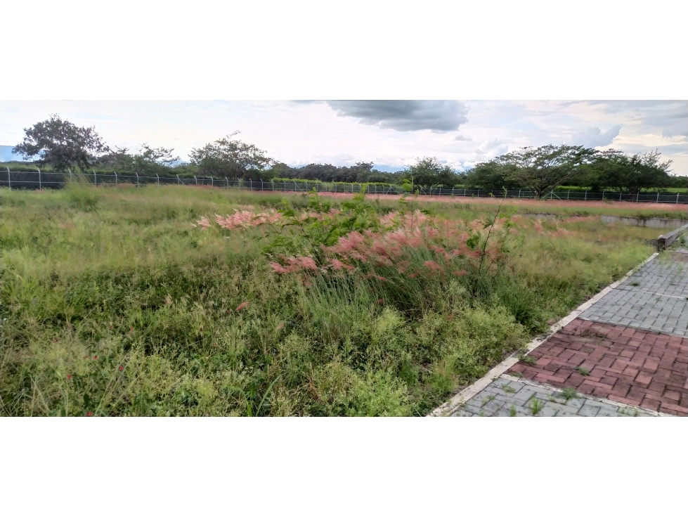 Lote en Venta, Ginebra - 5