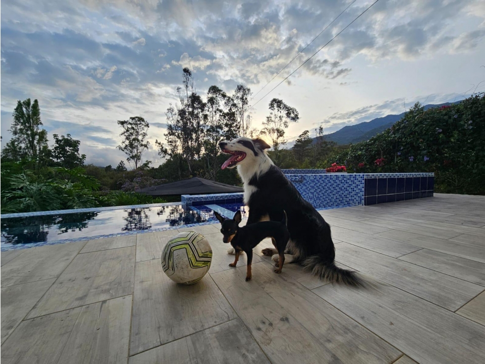 VENDO HERMOSA FINCA CAMPESTRE LAGO CALIMA, DARIEN - 3