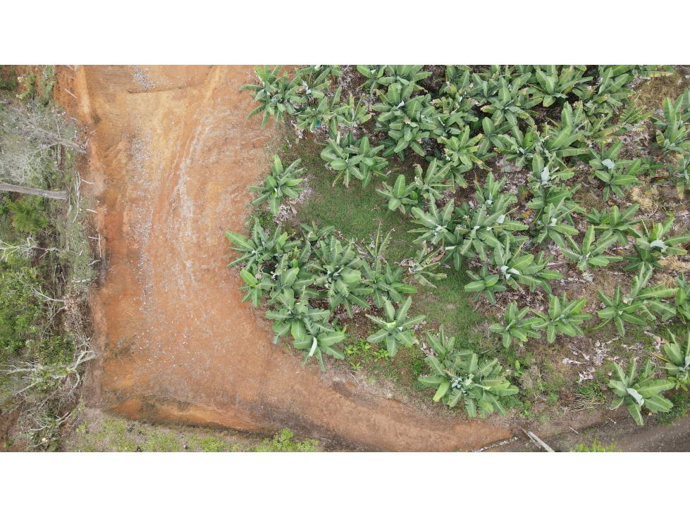 LOTE EN VENTA EN JARDÍN ANTIOQUIA - 2