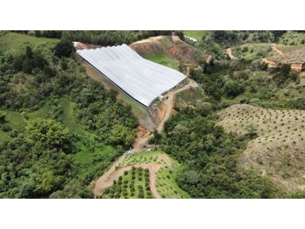 FINCA AGRÍCOLA DE ALTA RENTABILIDAD EN SAN VICENTE 30 HECTÁREAS