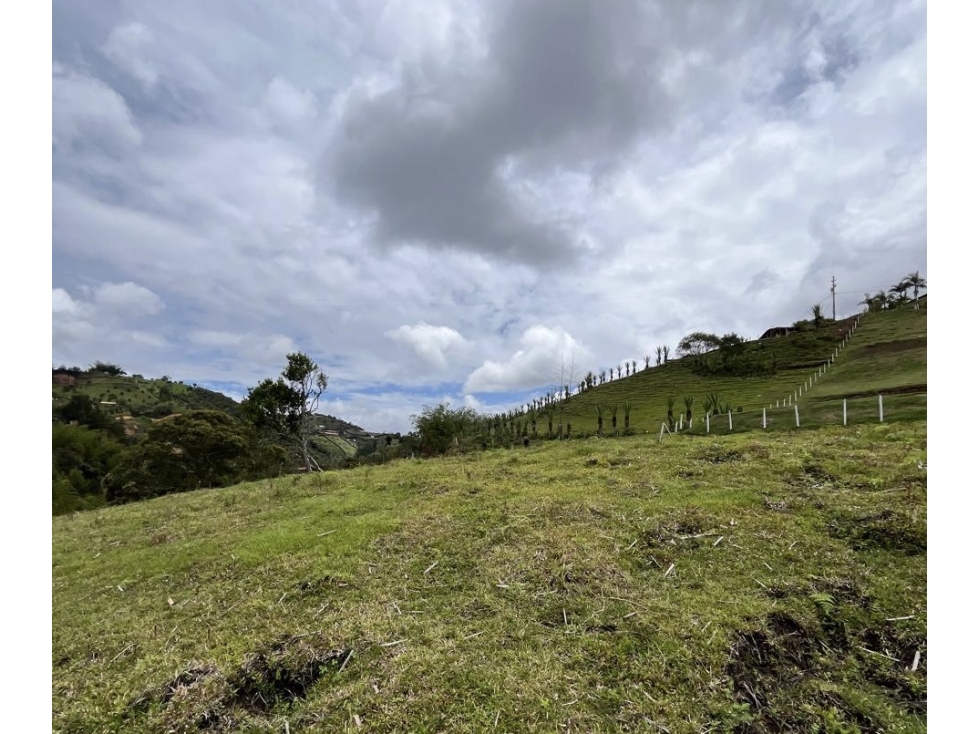 LOTE INDEPENDIENTE EN VENTA EL PEÑOL - 3
