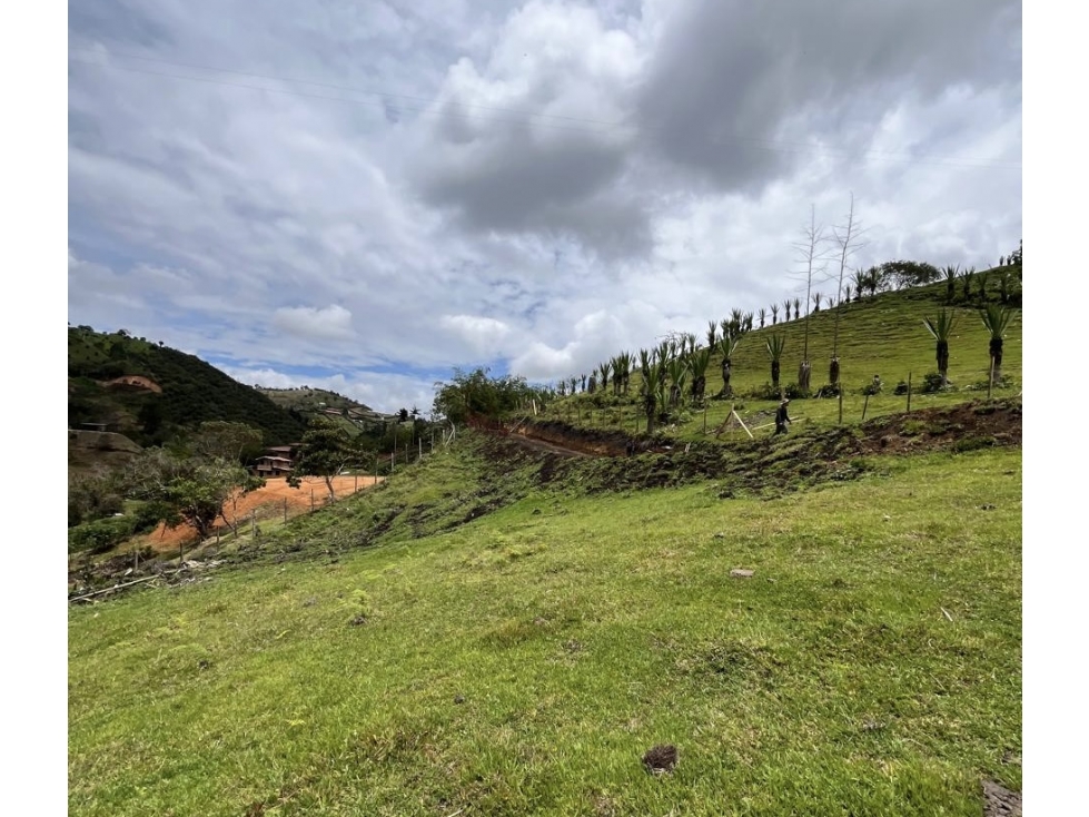 LOTE INDEPENDIENTE EN VENTA EL PEÑOL - 6