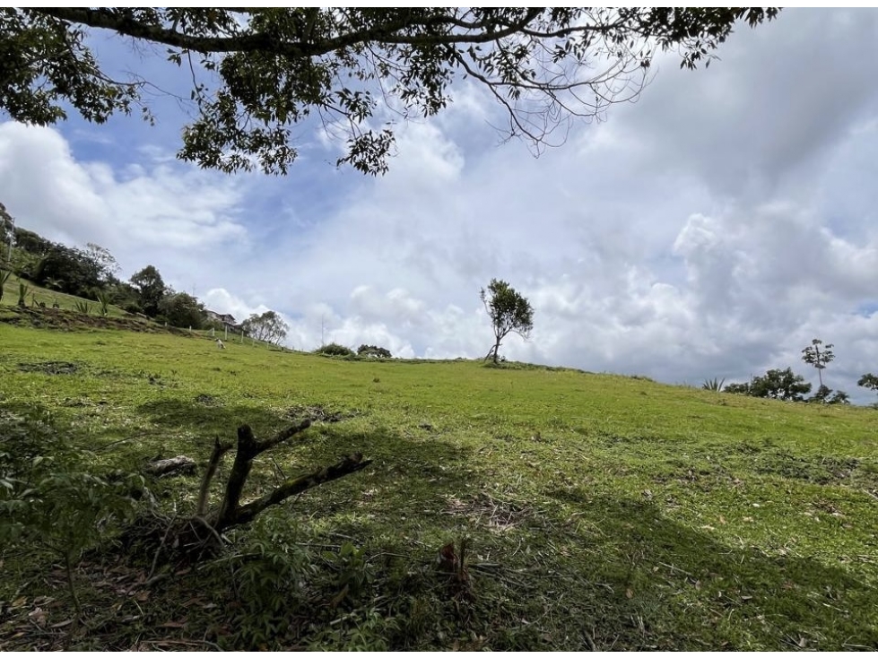 LOTE INDEPENDIENTE EN VENTA EL PEÑOL - 5