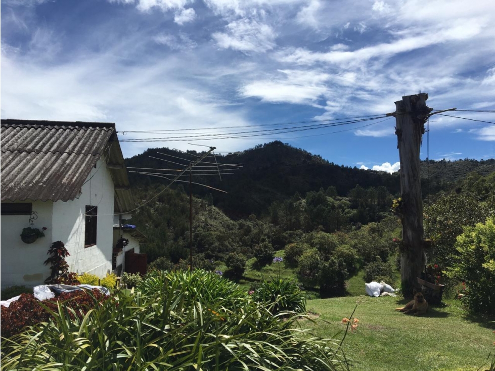 Venta de Finca en El Retiro sector Pantanillo - 6