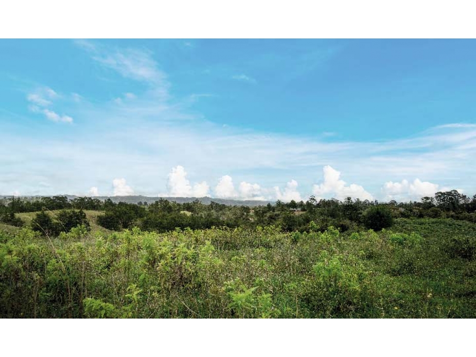 Lote en Venta en La ceja