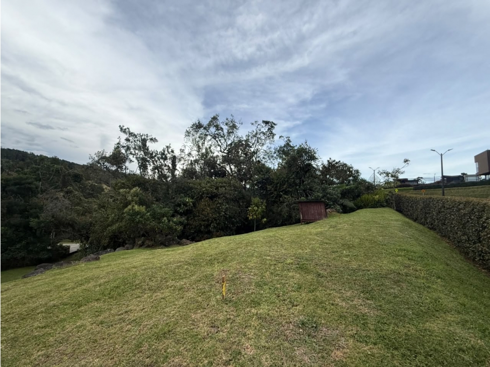 Lote para la venta en el alto de las Palmas — foto 4