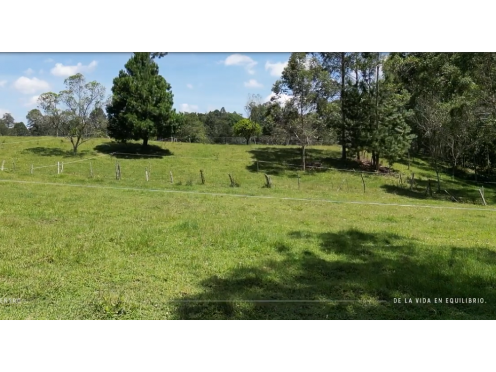 Lote para la venta en la Ceja — foto 2