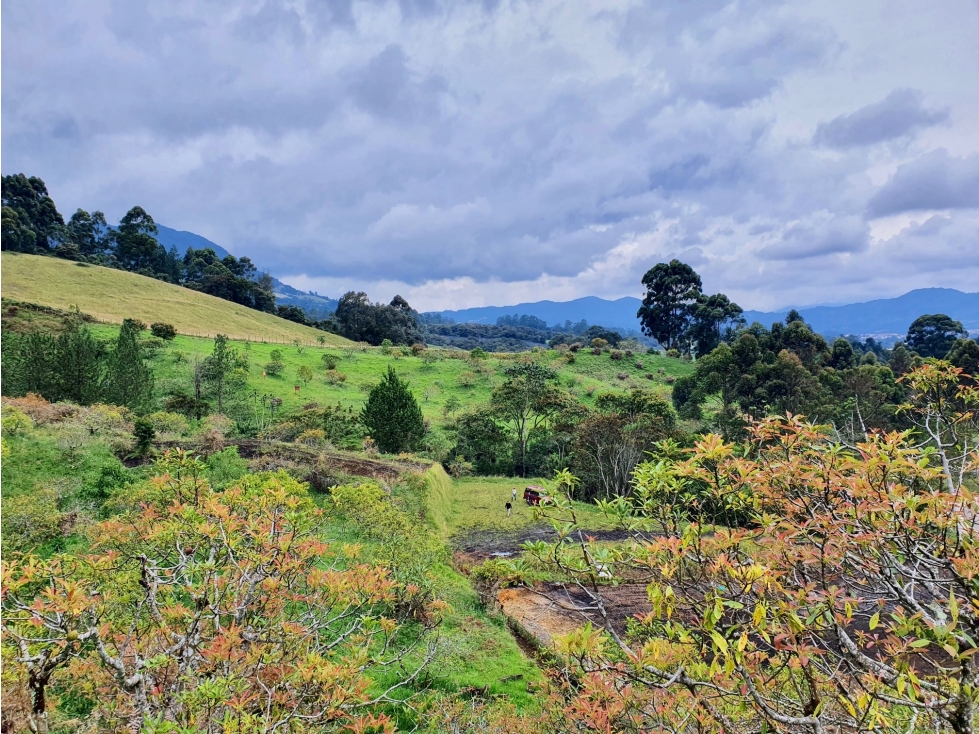lote para la venta en La Ceja — foto 5