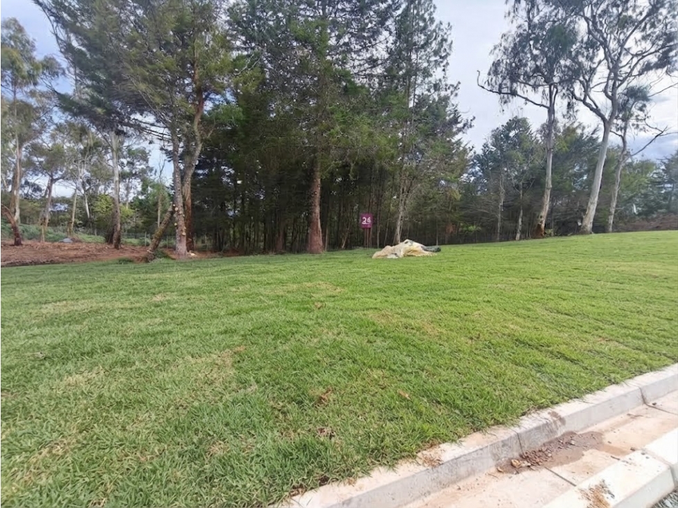 Lote en venta en Envigado - 3